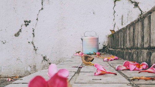 Wallflowers | Somerset is an interactive project highlighting the hidden sights and sounds around Somerset through the eyes of everyday Singaporeans.
