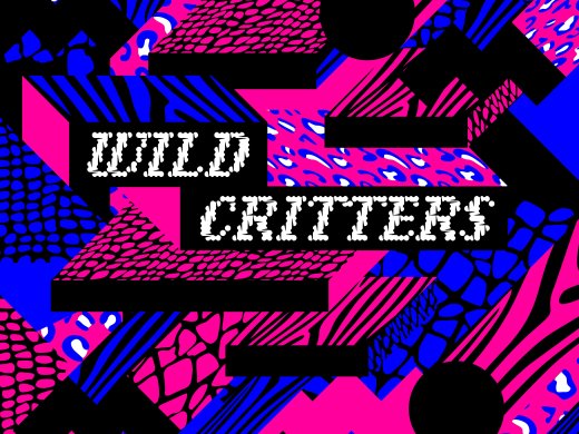Wild Critters