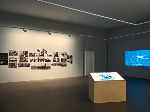 Wishful Images: When Microhistories Take Form
