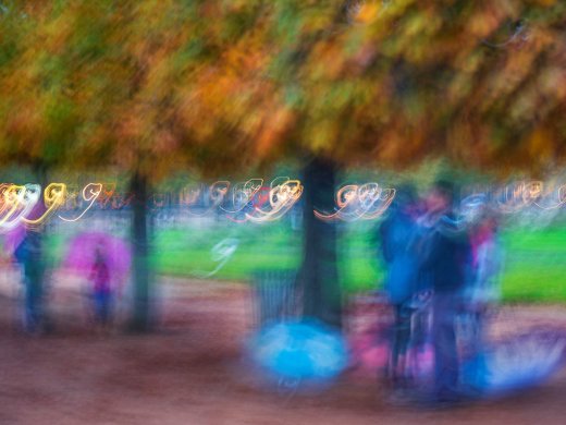 Les Arbres de Paris (The Trees of Paris)