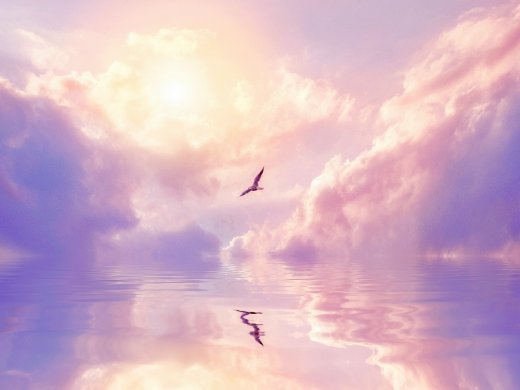 fated love sky
