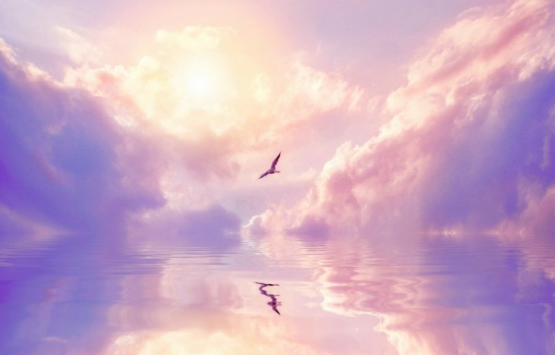 fated love sky