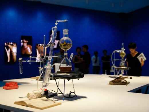 Environmentally Engaged Artistic Practices in South, Southeast Asia and the Pacific Symposium