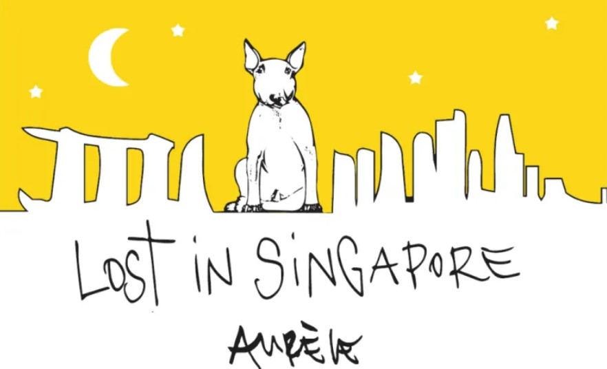 LOST IN SINGAPORE