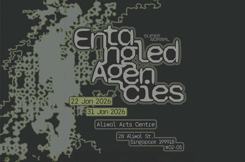 Entangled Agencies