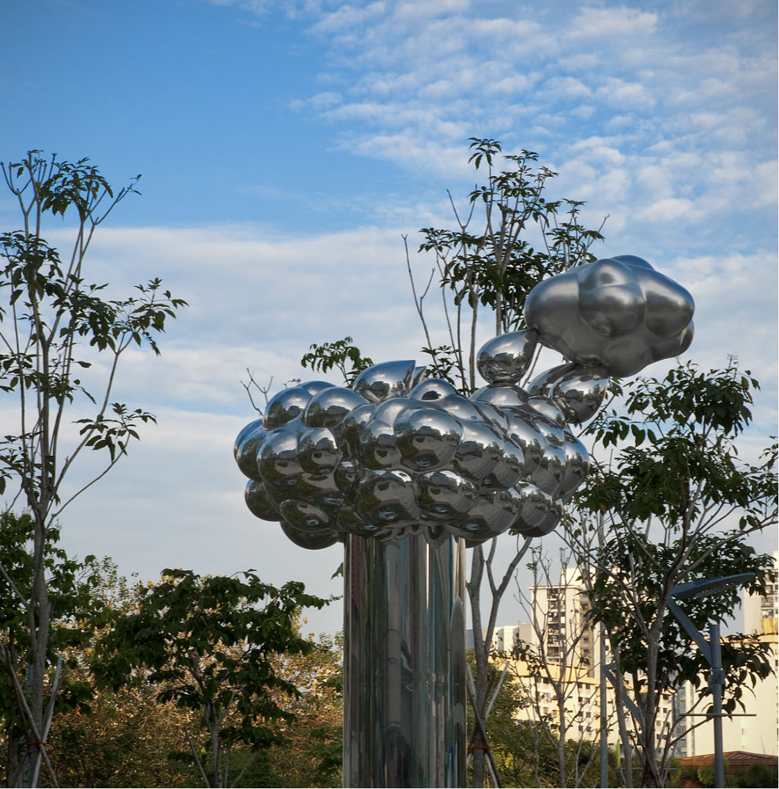 THE WIND, HER RAIN AND A CLOUD MEET A TREE IN THE MONSOON SEASON