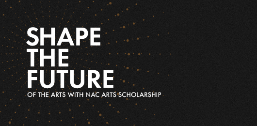 NAC Arts Scholarship 2025_Highlights-Open call section